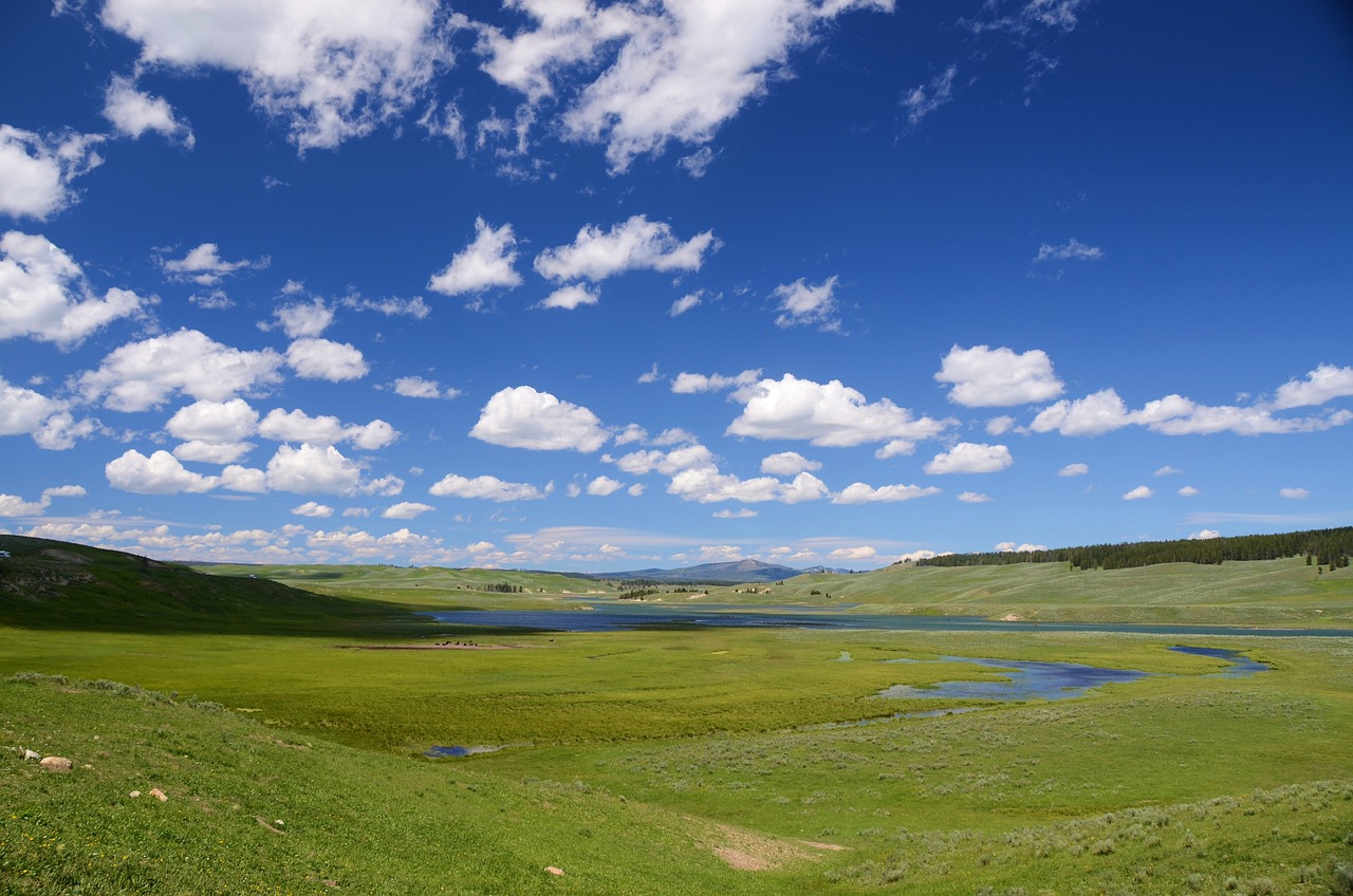 Investing in Raw Land